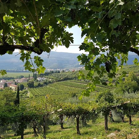 Agriturismo Valentina Cubi Fumane Exteriör bild