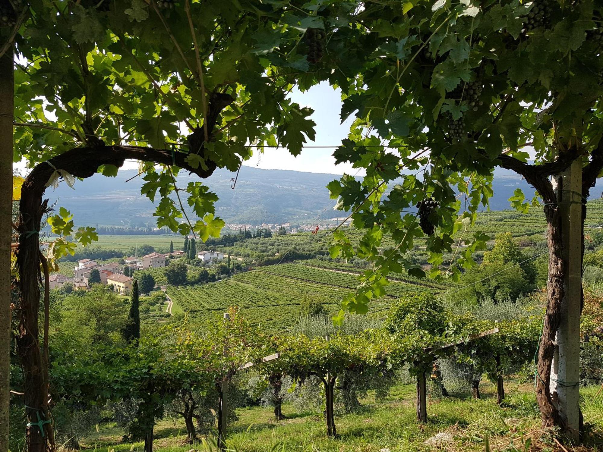 Agriturismo Valentina Cubi Fumane Exteriör bild