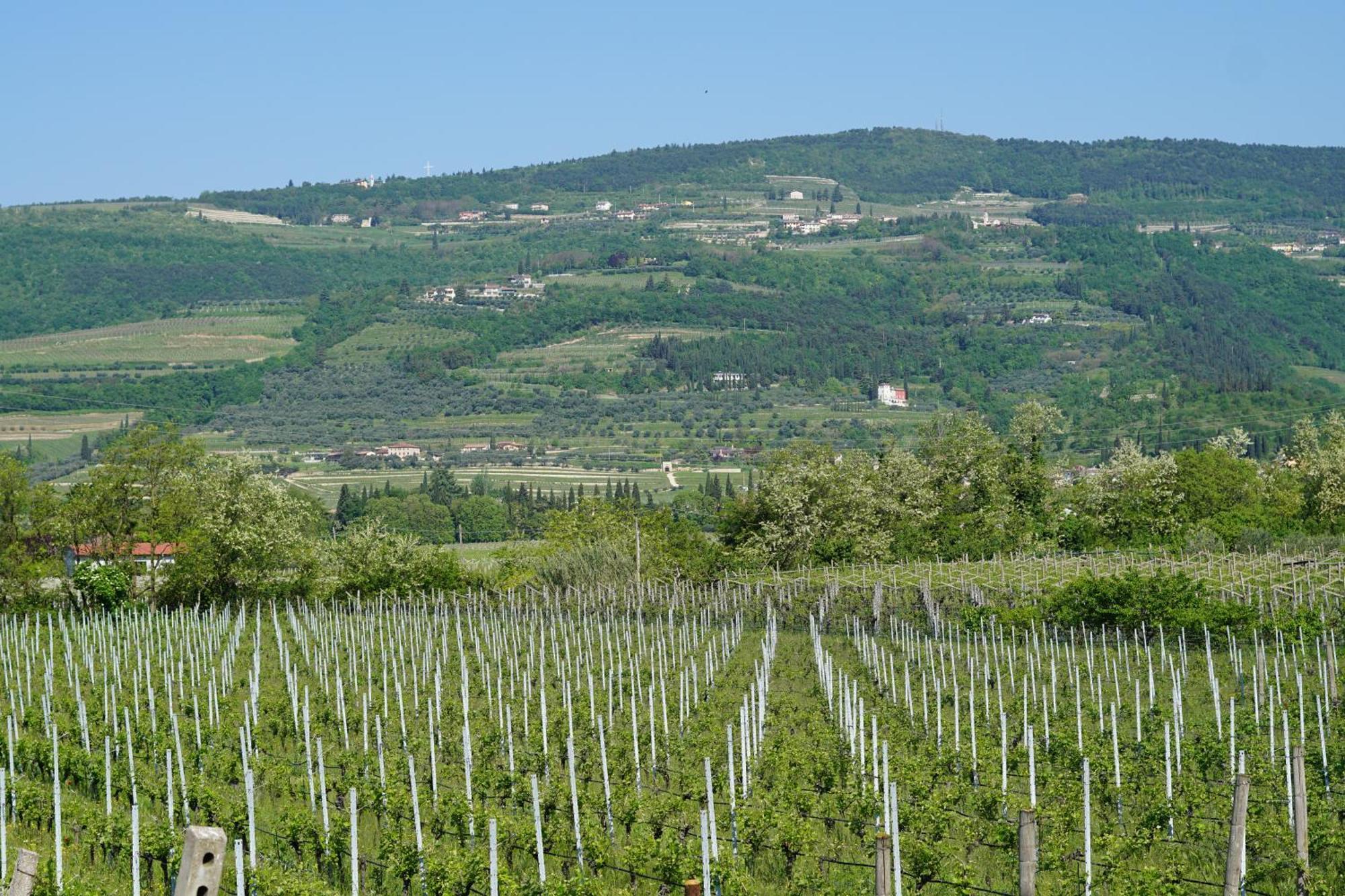 Agriturismo Valentina Cubi Fumane Exteriör bild